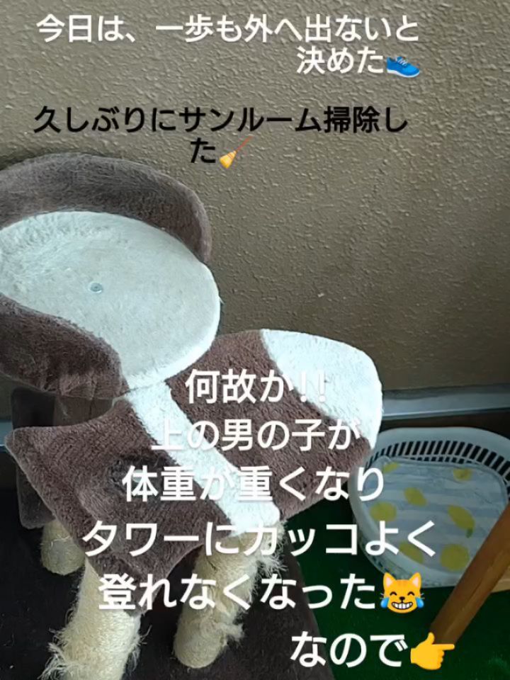 仕事の合間の癒しの子どもたち😘